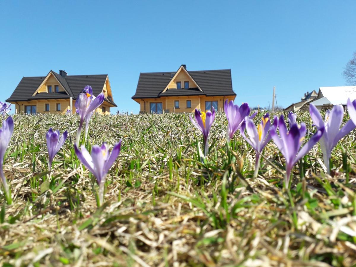 Witowianskie Domki Z Kominkiem, Jacuzzi I Sauna Dzianisz Экстерьер фото